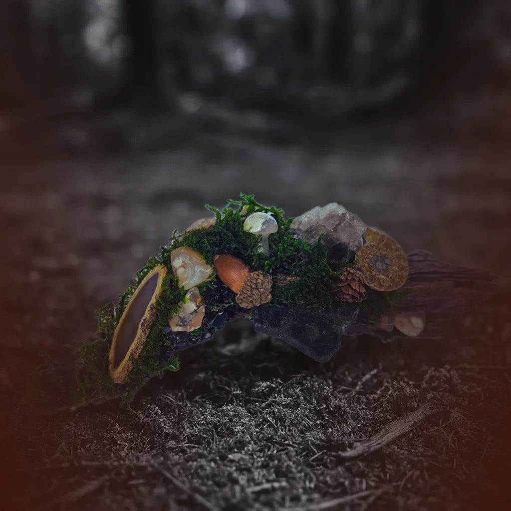 A handcrafted crystal forest with moss, driftwood, and stones arranged as a miniature altar in natural light.