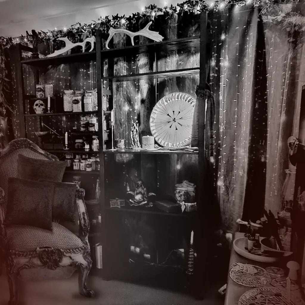 Mediumship Readings