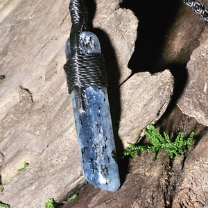 Polished blue kyanite crystal laying against bark and moss