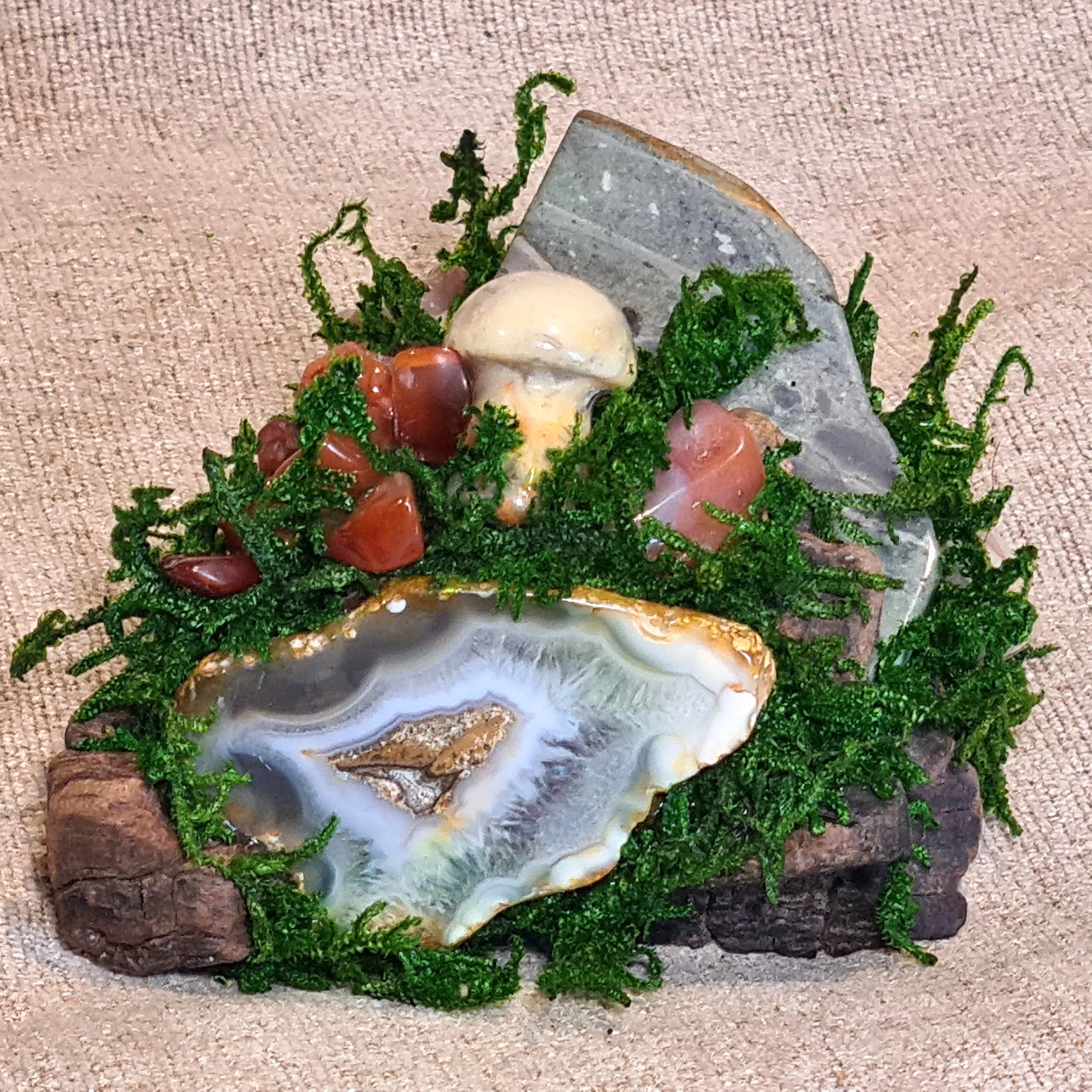 Flame of Renewal Crystal Forest altar piece with flower agate, carnelian, and moss on driftwood by Moss & Raven.