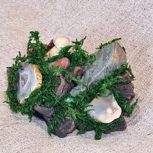 One-of-a-kind forest altar sculpture featuring ocean jasper mushroom and agate slice among green moss.