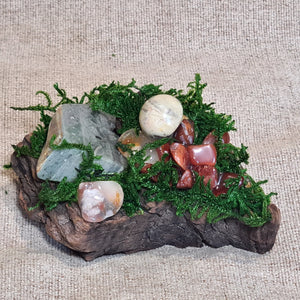 Driftwood altar adorned with moss, agate, and ocean jasper for ritual and energy work.