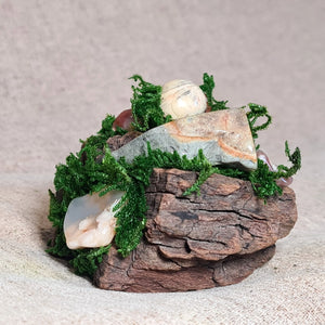 Handmade moss and driftwood altar art featuring agate and ocean jasper for grounded energy.