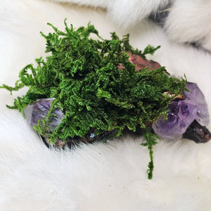 Moss & Raven Forest Guardian with preserved moss and mixed crystal allies- side view