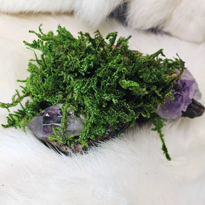 One of a kind moss guardian resting on driftwood with crystal details-top side view