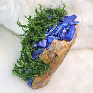 Forest Guardian sculpture with moss, lapis lazuli, and clear quartz on driftwood base, side and top view