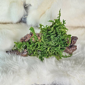 Ritual decor sculpture featuring peridot, moss, and clear quartz, side view