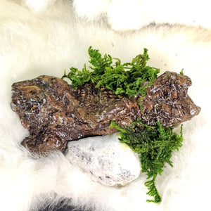 Spirit guardian artwork crafted with natural moss and crystal allies, rear view