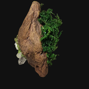 Back view showing driftwood form and moss texture — natural materials used in this one-of-a-kind witchcrafted sculpture.