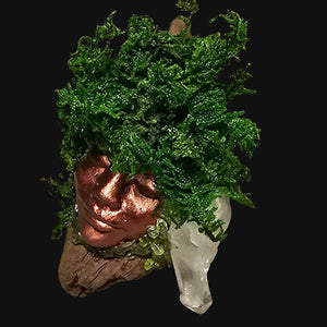 Overhead view of Forest Guardian with Peridot chips and Clear Quartz cluster — handmade altar sculpture for vitality and balance.