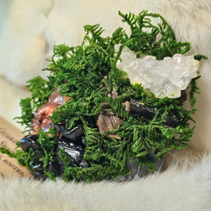 Moss & Raven Forest Guardian with preserved moss and quartz cluster
