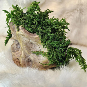 Ritual decor artwork created for boundaries and protection- rear view