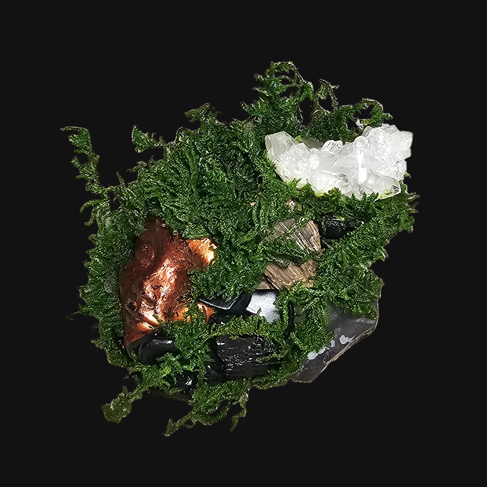 Protection & Shadow Forest Guardian by Moss & Raven — handcrafted altar sculpture with moss, driftwood, and grounding crystals for spiritual stability.