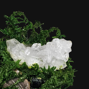 Overhead angle of Forest Guardian with moss crown, Clear Quartz cluster, and dark protective stones — hand-sculpted elemental art for spiritual grounding.