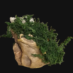 Back view showing natural driftwood base of the Protection & Shadow Forest Guardian — organic materials crafted into ritual altar decor.