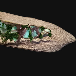 Macro image of moss and crystal arrangement on driftwood sculpture.