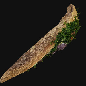 Side view of driftwood base with layered moss and green Chrysoprase crystals.