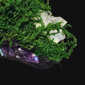 Macro detail of moss and crystals — Amethyst and Clear Quartz shimmering in elemental harmony.