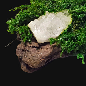 Forest Guardian detail showing Clear Quartz cluster nestled in moss on aged driftwood — close-up of the Tranquility & Vision sculpture handcrafted by Moss & Raven.