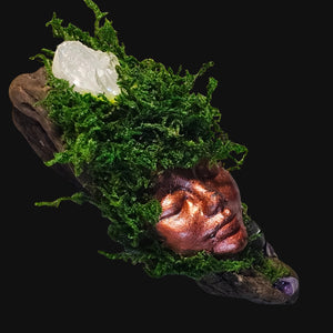 Overhead view of Forest Guardian with Amethyst and Clear Quartz nestled in green moss — handmade piece for reflection and focus.