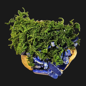 Witchcrafted Forest Guardian figure resting on driftwood, with Lapis Lazuli crystals and Clear Quartz cluster — old-world altar art by Moss & Raven.