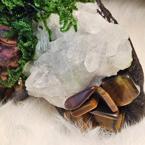 Close up Moss & Raven Forest Guardian with preserved moss and quartz cluster