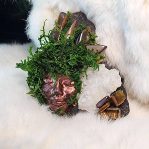 Forest Guardian Strength and Vision with driftwood, moss, and crystal allies