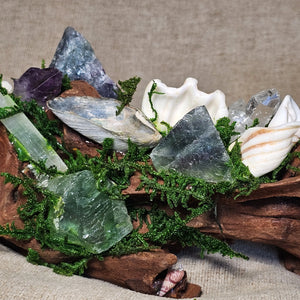 Shells and coral woven through green moss surrounding Fluorite and Quartz crystals.