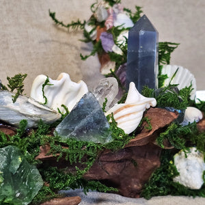 Moss and crystal textures captured in driftwood altar for cleansing energy.
