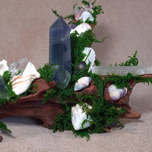 Natural driftwood base holding arrangement of crystals and shells for ritual work.
