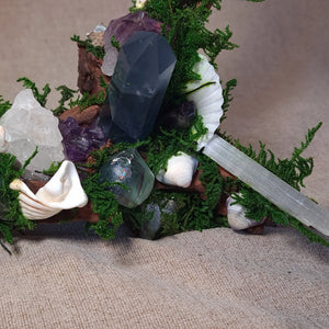 Driftwood altar with Fluorite, Amethyst, and Selenite crystals among moss and shells – The Quiet Current by Moss & Raven.