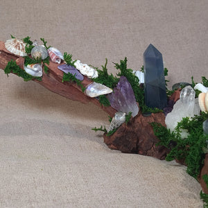 Natural crystal arrangement featuring Selenite wand, Fluorite point, and Amethyst cluster.
