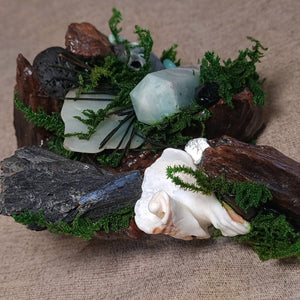 Hand-sculpted driftwood altar with crystals, moss, and sea-worn shell.