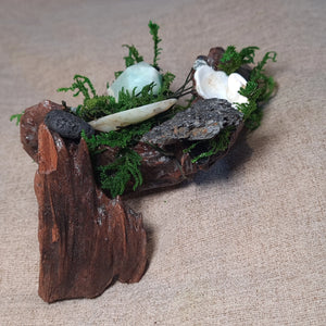 Protective elemental altar combining water and earth correspondences.