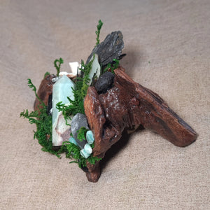 Ocean-inspired altar with shell, Shungite, and moss for balance and renewal.