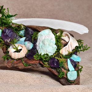 Close-up of amethyst cluster and sea shells resting among Amazonite stones and green moss.