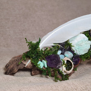 Crystal forest featuring purple Amethyst and pale Amazonite stones around a white feather.