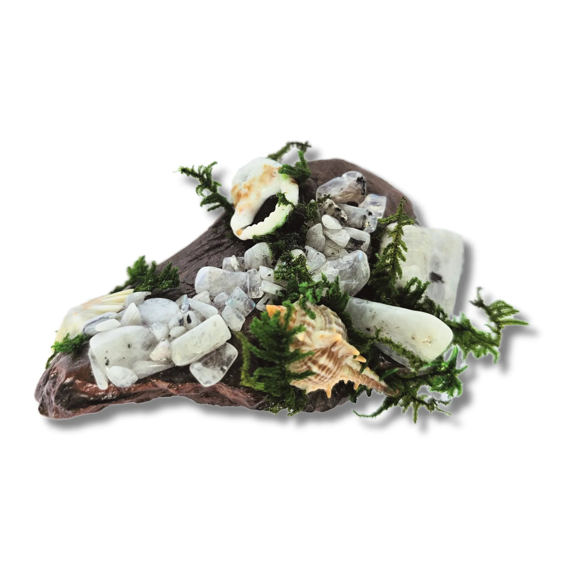 Crystal forest altar on white background with moonstone, seashells, moss and driftwood – handmade by Moss & Raven Australia