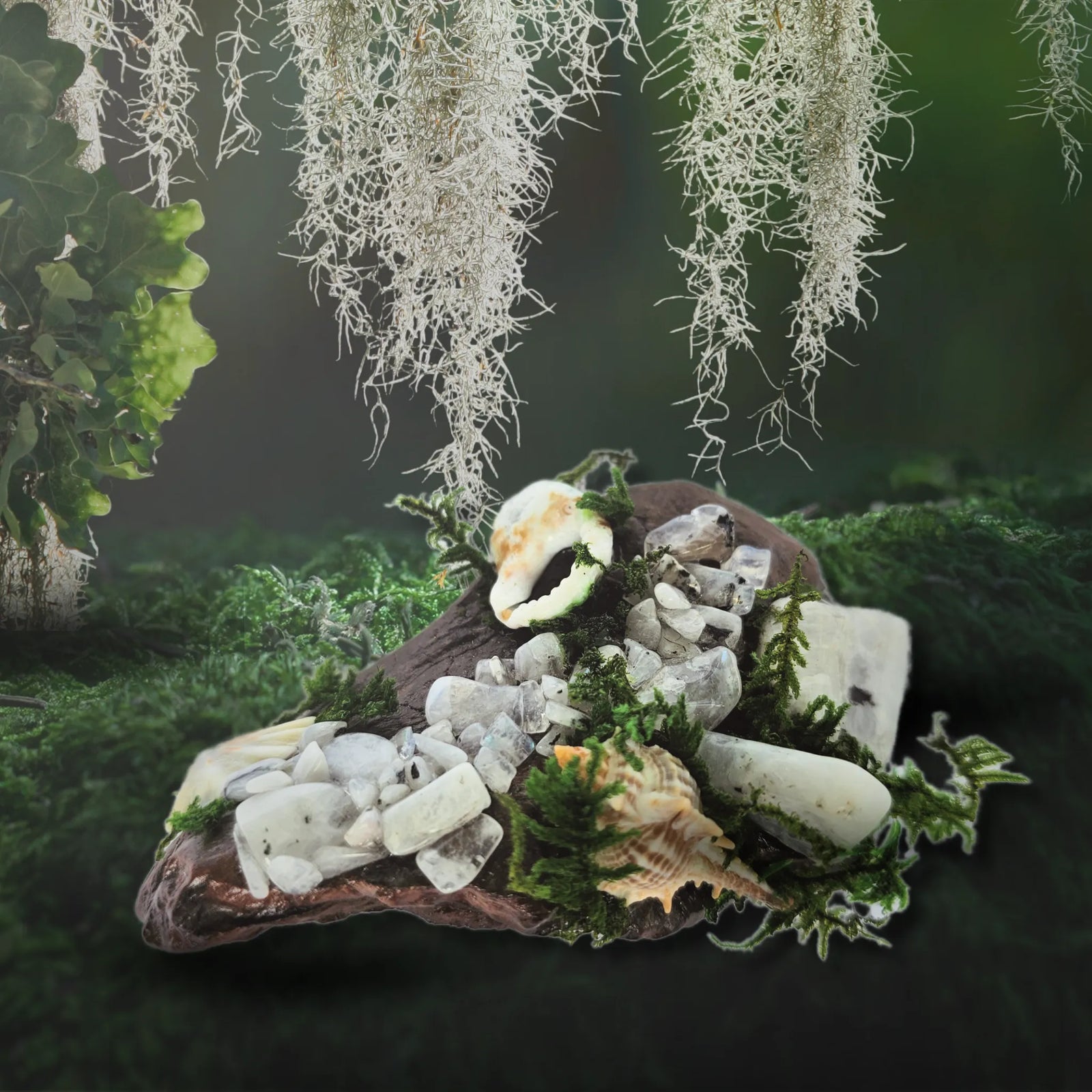 Handmade crystal forest altar with moonstone, seashells, moss and driftwood, photographed in a forest setting – by Moss & Raven Australia

