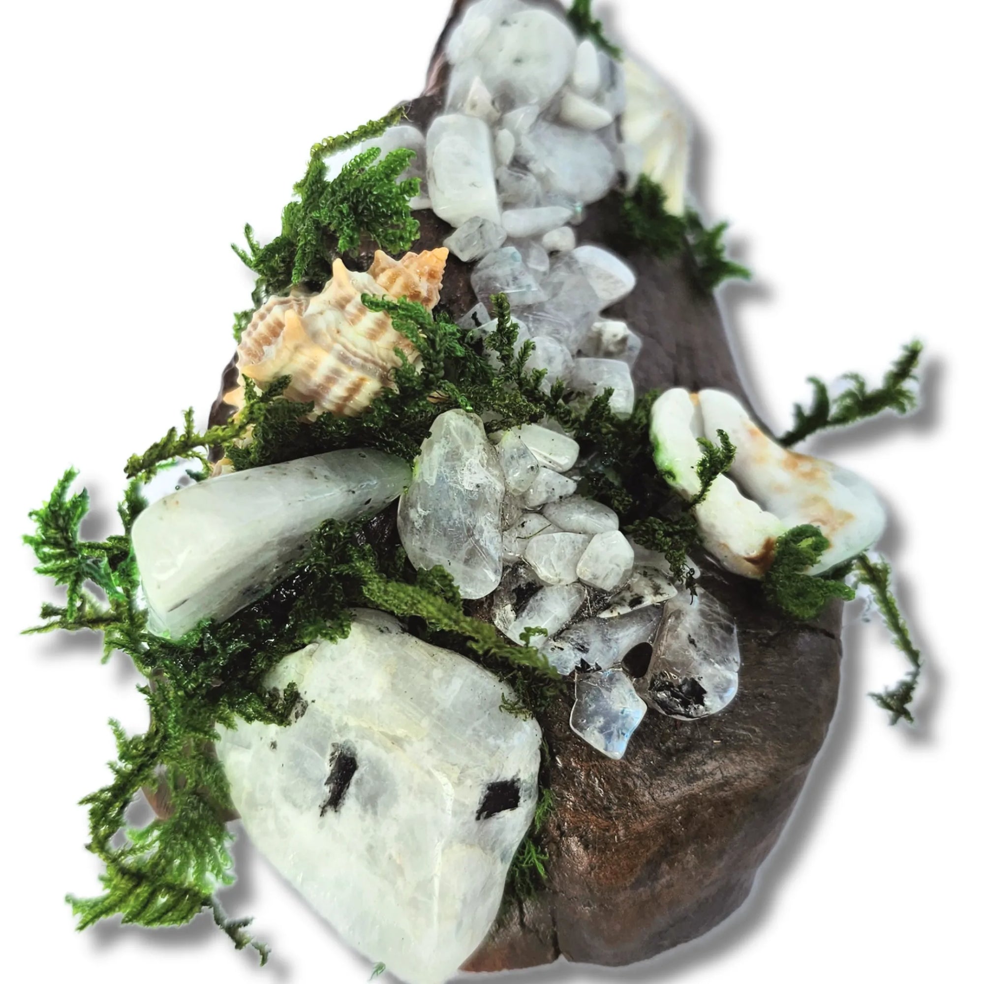 Crystal forest altar on white background with moonstone, seashells, moss and driftwood – handmade by Moss & Raven Australia