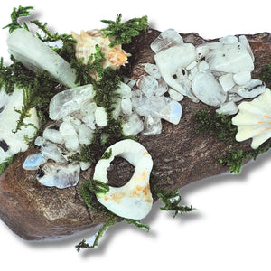 Crystal forest altar on white background with moonstone, seashells, moss and driftwood – handmade by Moss & Raven Australia