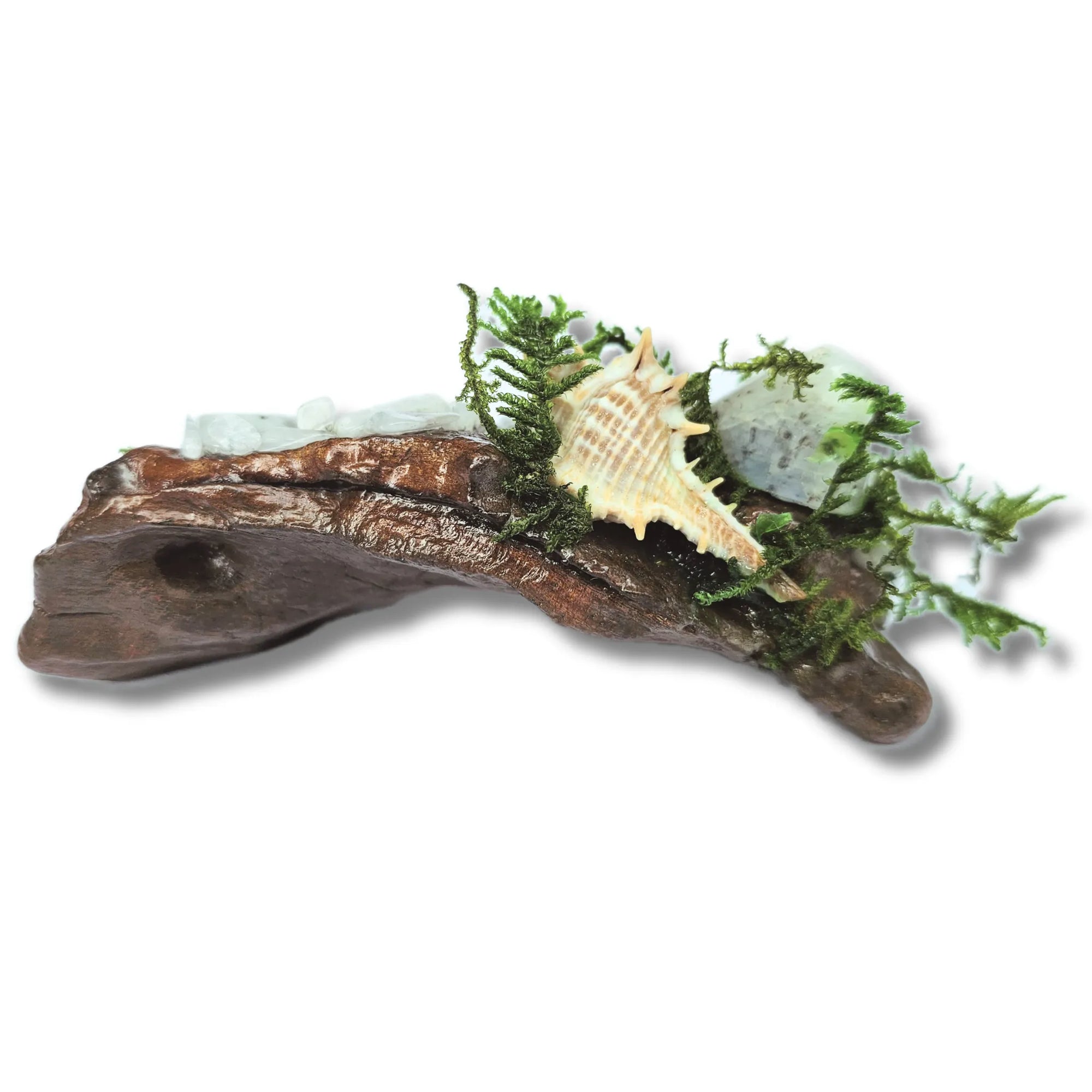 Crystal forest altar on white background with moonstone, seashells, moss and driftwood – handmade by Moss & Raven Australia