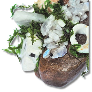 Crystal forest altar on white background with moonstone, seashells, moss and driftwood – handmade by Moss & Raven Australia
