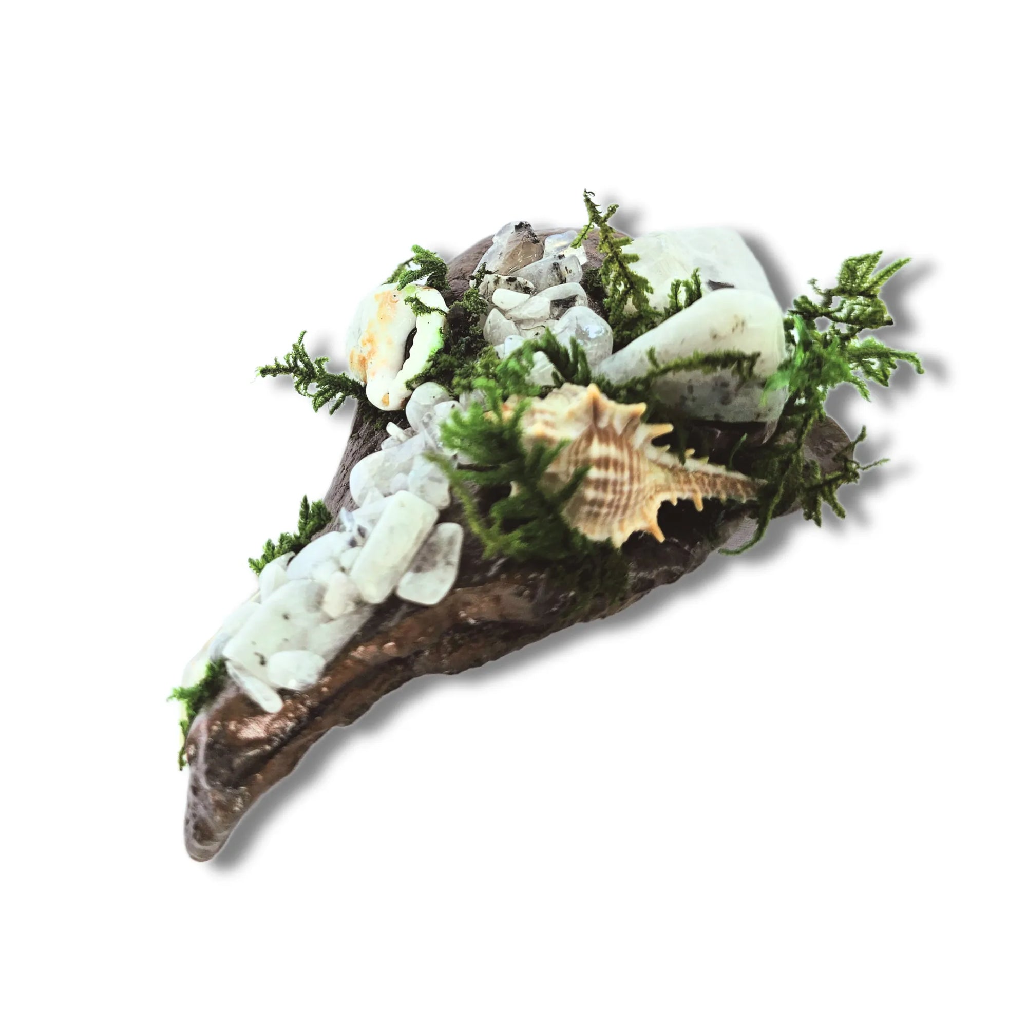 Crystal forest altar on white background with moonstone, seashells, moss and driftwood – handmade by Moss & Raven Australia