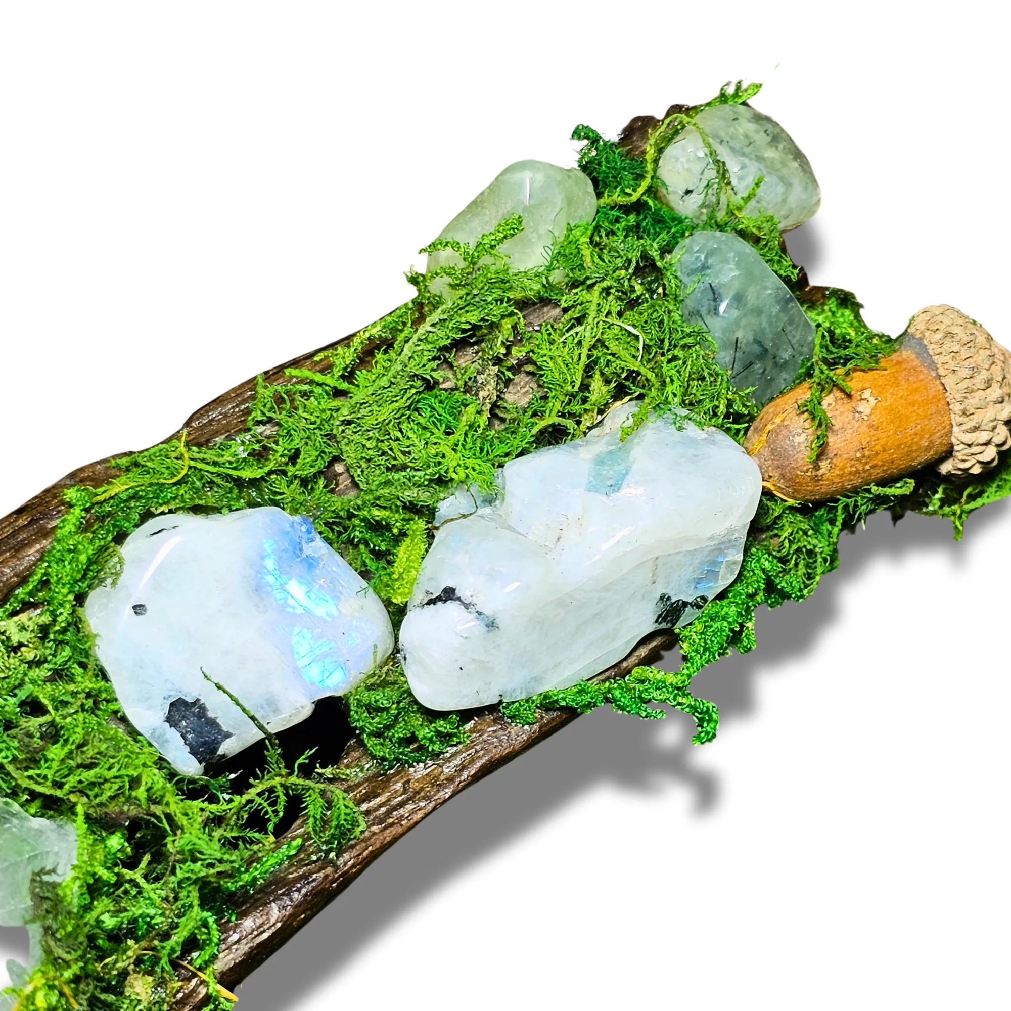 Nightborne crystal forest by Moss & Raven on white background. Features Clear Quartz, Moonstone, Prehnite, spell bottle, moss, acorn, pine cone, and driftwood.