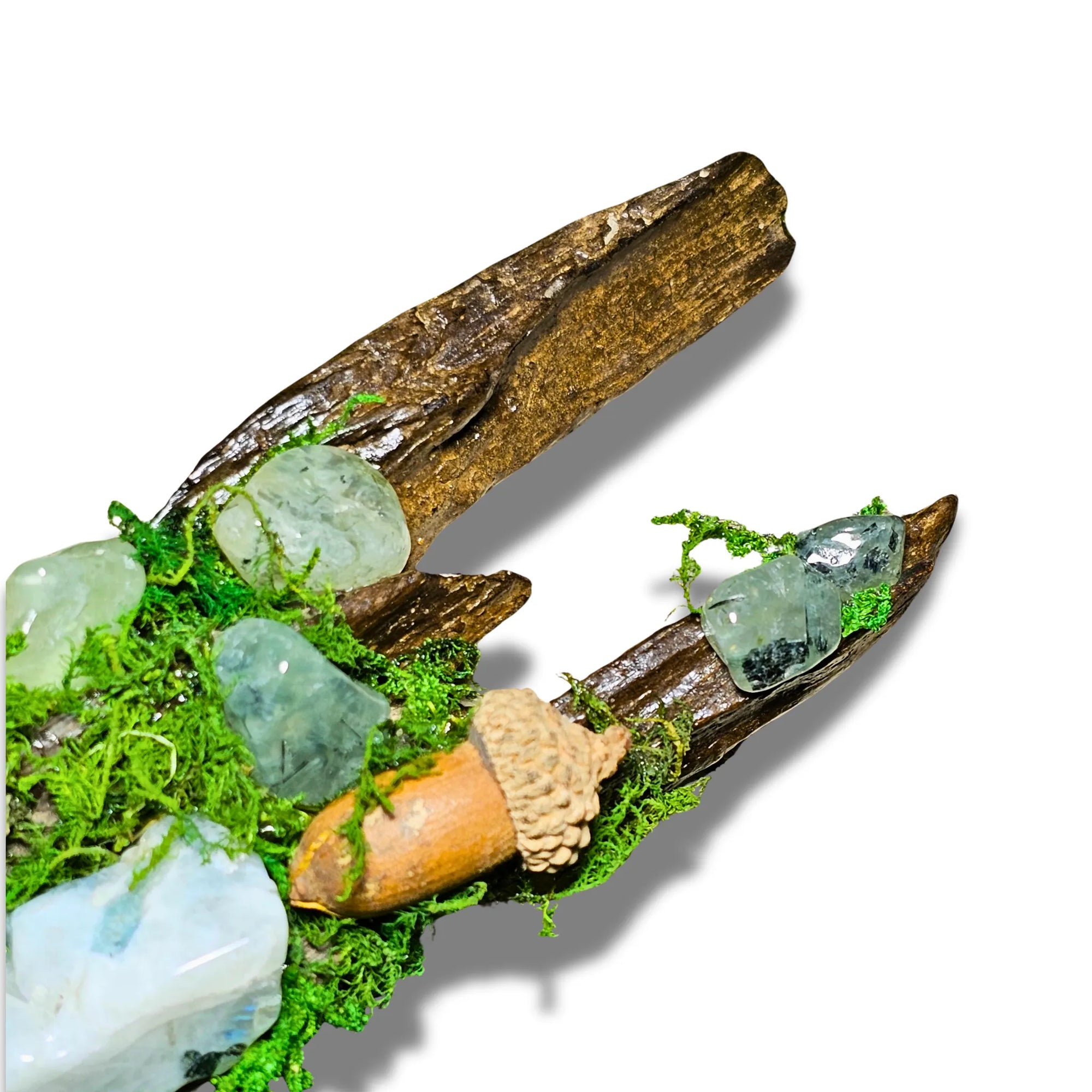Nightborne crystal forest by Moss & Raven on white background. Features Clear Quartz, Moonstone, Prehnite, spell bottle, moss, acorn, pine cone, and driftwood.
