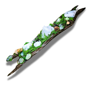 Nightborne crystal forest by Moss & Raven on white background. Features Clear Quartz, Moonstone, Prehnite, spell bottle, moss, acorn, pine cone, and driftwood.