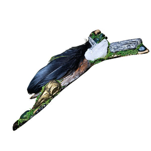 Raven's Mark