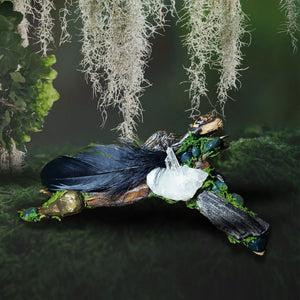 Raven’s Mark crystal forest by Moss & Raven shown on moss background. Includes gold raven head, Black Tourmaline, Bloodstone, feather, and moss-covered driftwood.