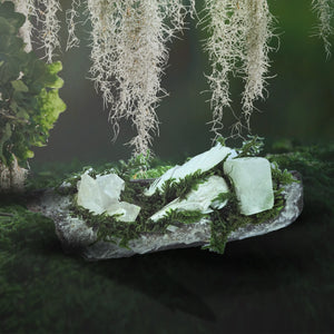 Crystal forest with Clear Quartz cluster, silver raven head, white feather, Apophyllite, Selenite, moss and driftwood on a dark green forest background


